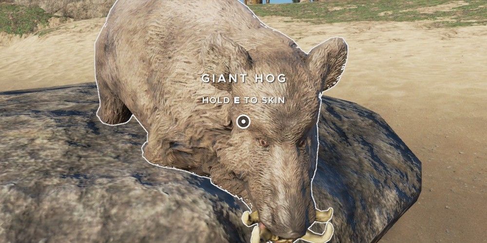 giant hog in stranded deep