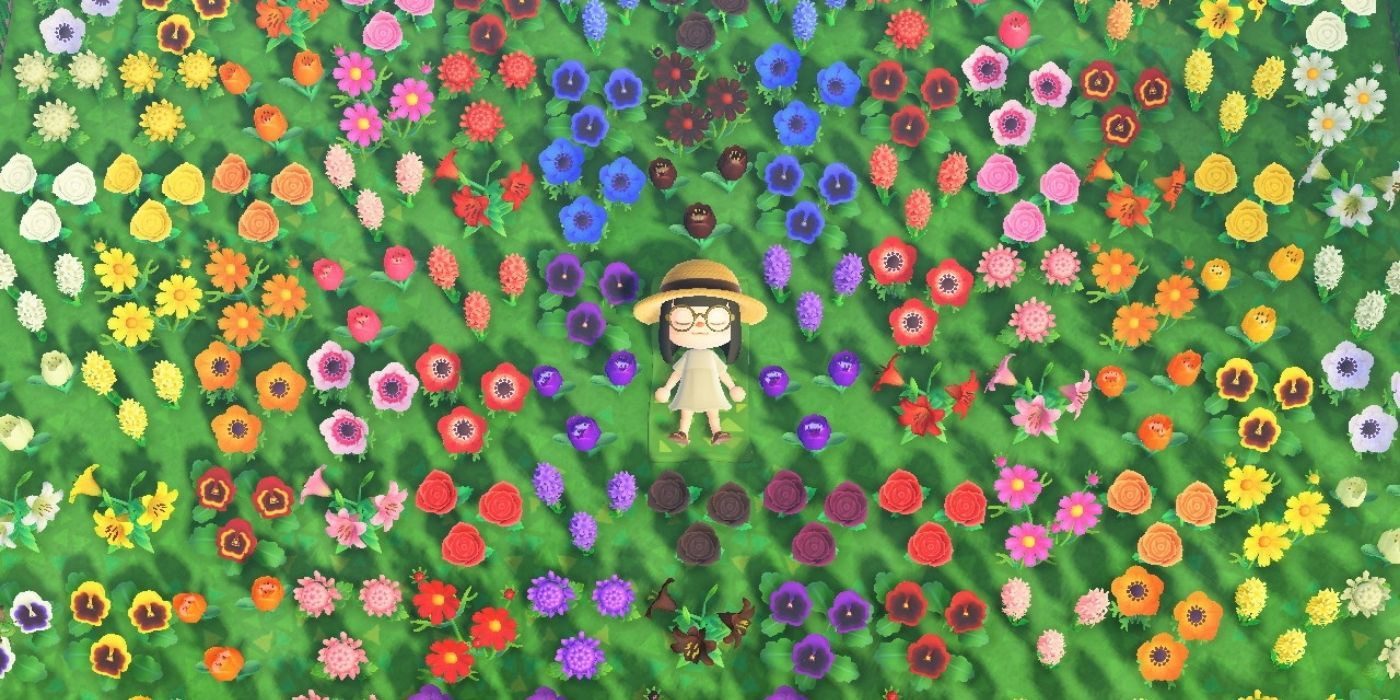 Animal Crossing New Horizons Flower Breeding - Girl in Animal Crossing laying down in a field of rainbow-coloured flowers game