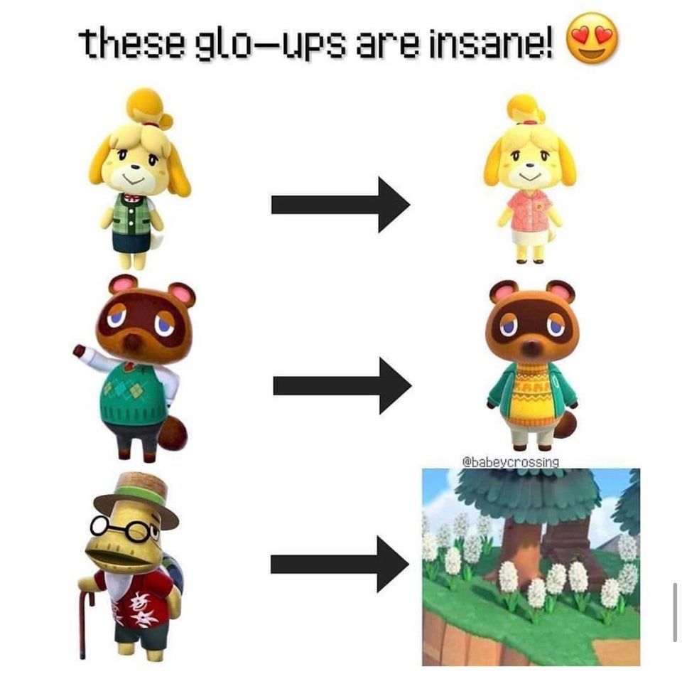 Animal Crossing New Horizons Glow Up Tortimer Is Dead Meme