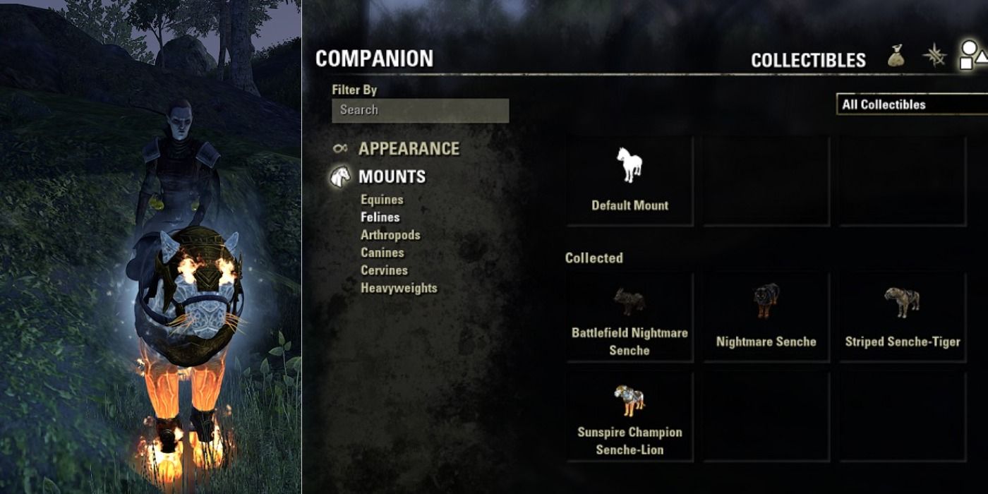 Companion riding a mouint and its location in the menu