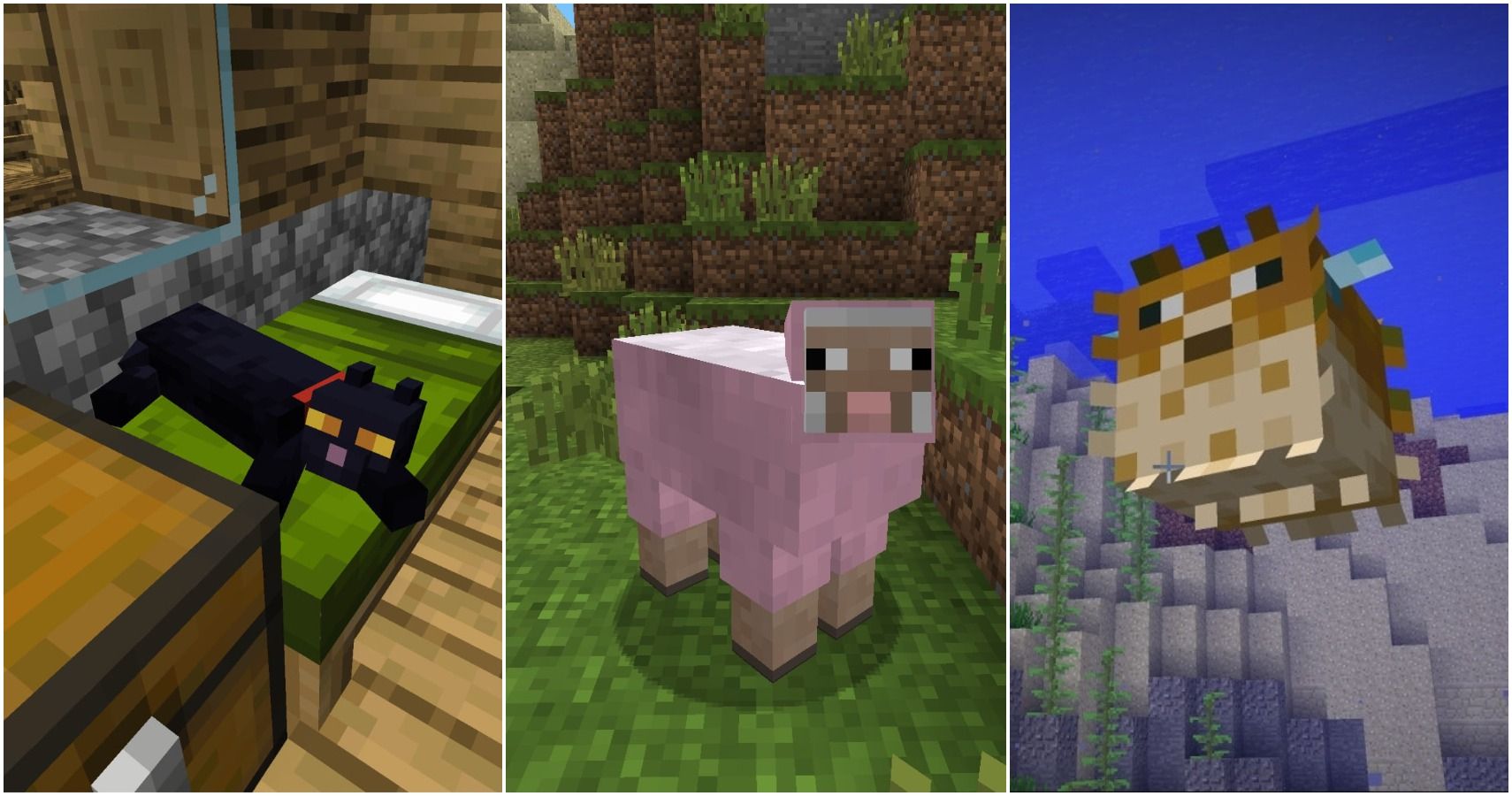 Minecraft: All Of The Animals, Ranked