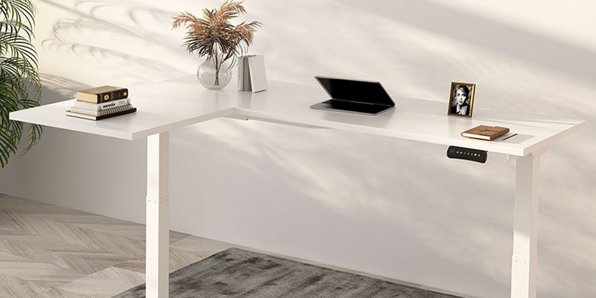 Flexispot Desk