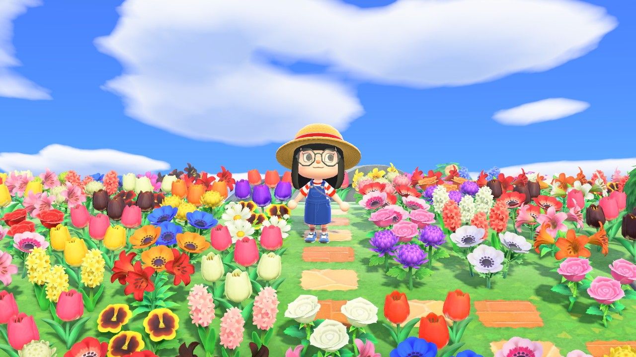 Flower Field In Animal Crossing New Horizons