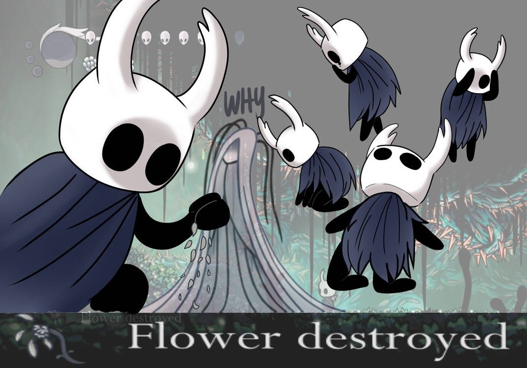 delicate flower hollow knight map