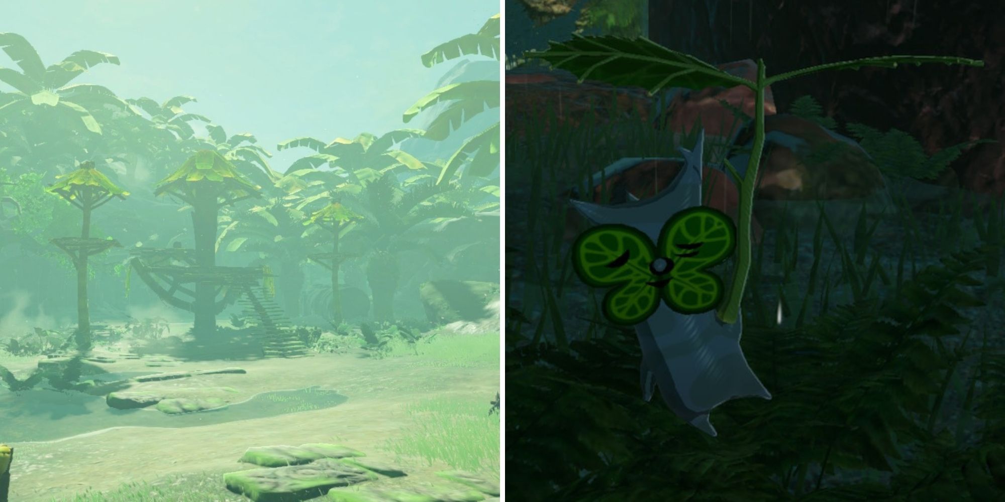 Age of Calamity All Damel Forest Korok Seed Locations