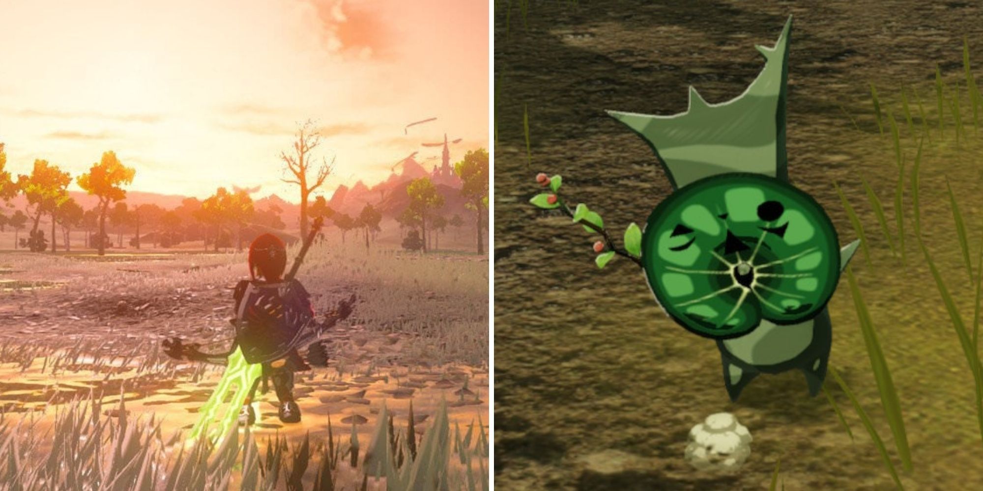 Age of Calamity All Lanayru Wetlands Korok Seed Locations