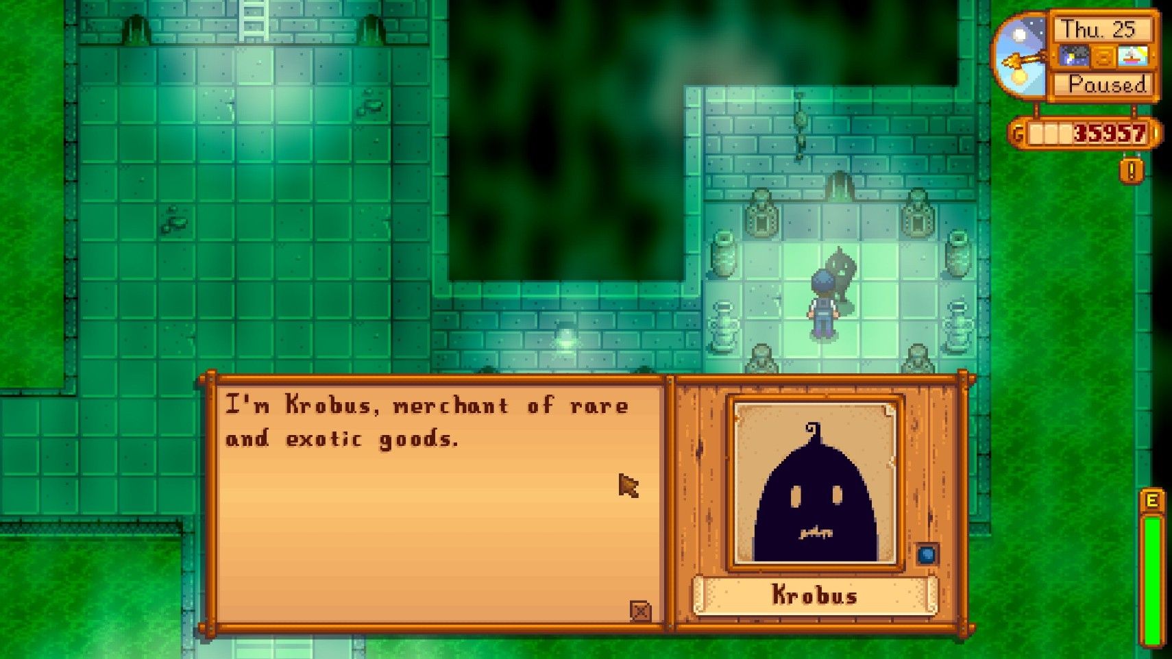 Player interacting with Krobus from Stardew Valley