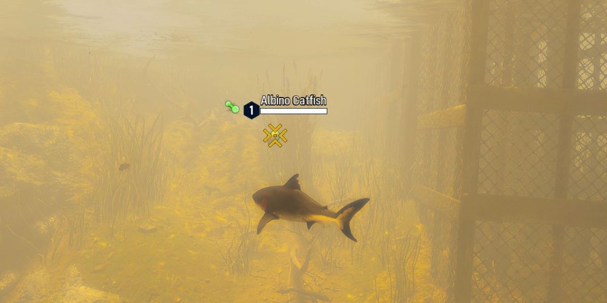 fish level in maneater