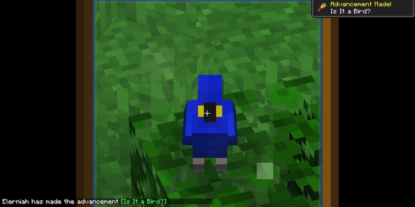 Minecraft Advancement Unlocked When Looking At Parrot