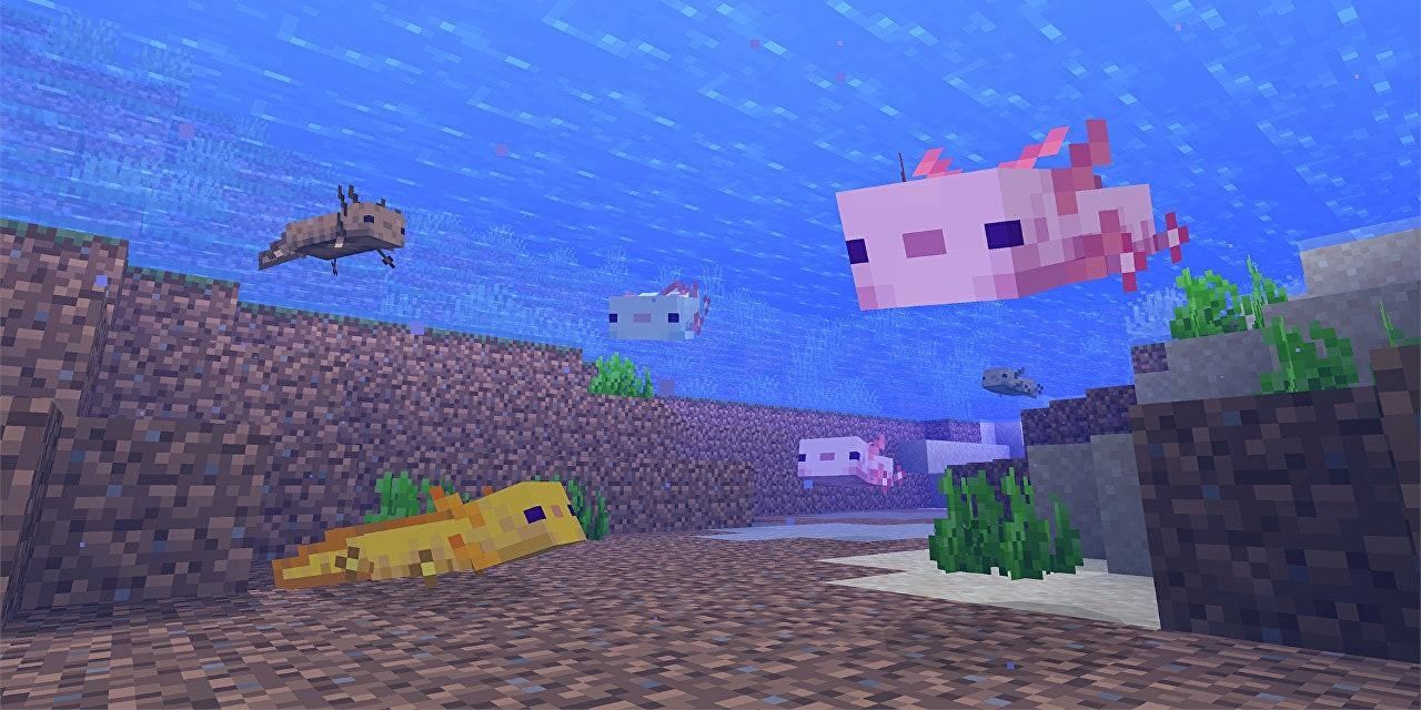Different colored Axolotl in Minecraft