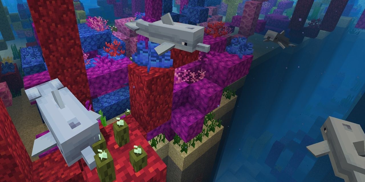 Dolphins hanging in reefs in Minecraft