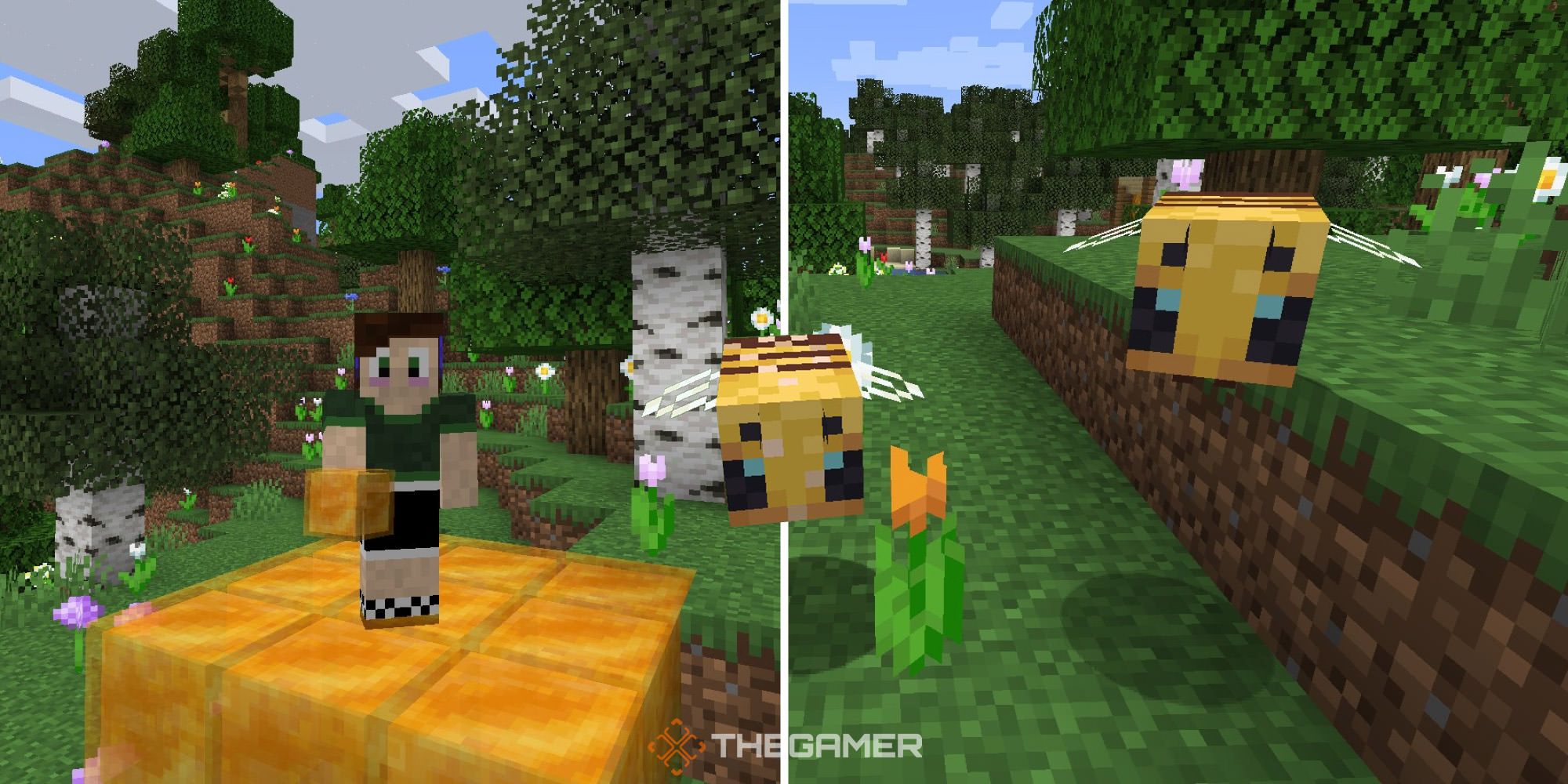 The player standing on honey blocks and some bees in Minecraft