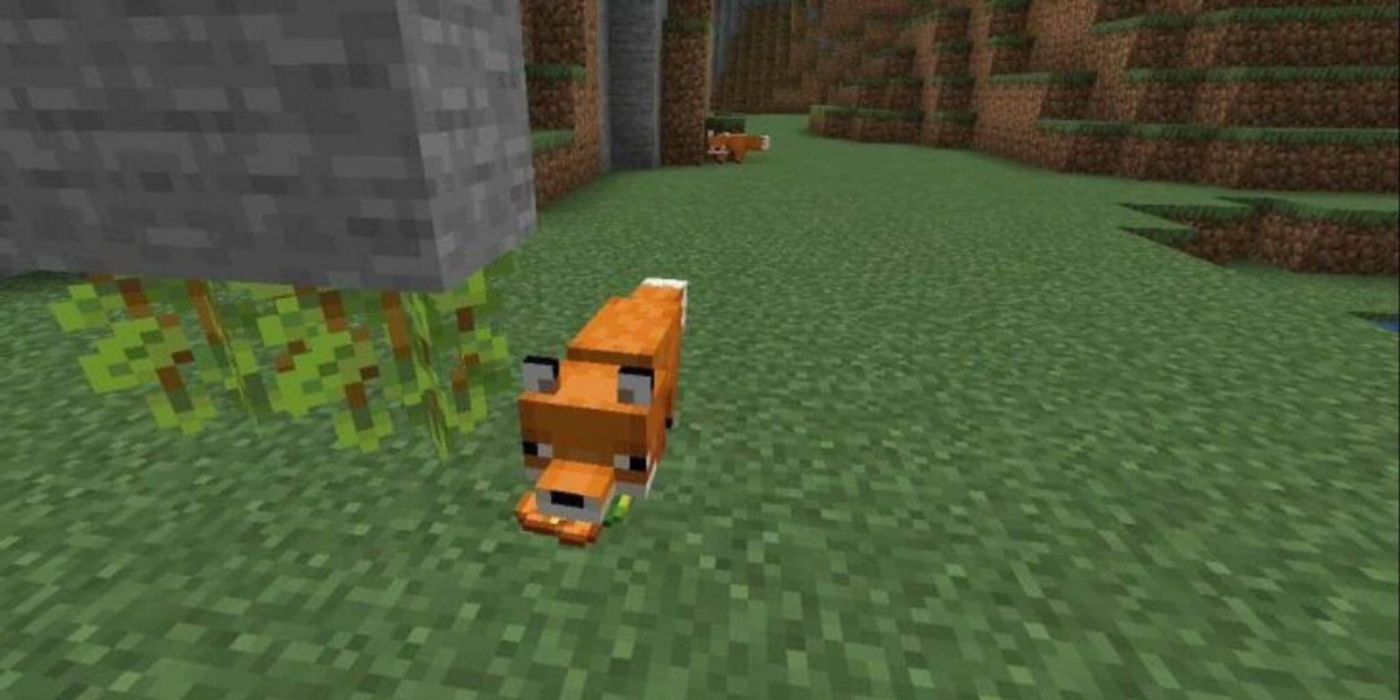 Minecraft Fox Eating A Glow Berry