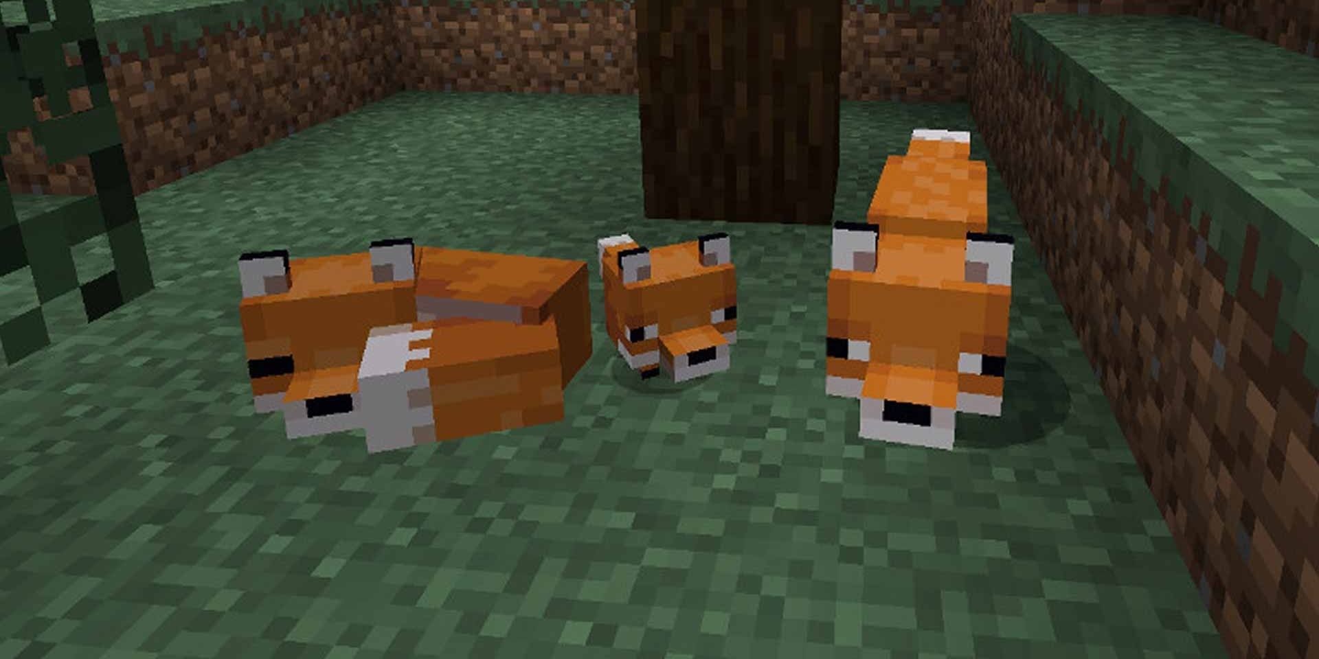A fox, a sleeping fox, and a baby fox in Minecraft