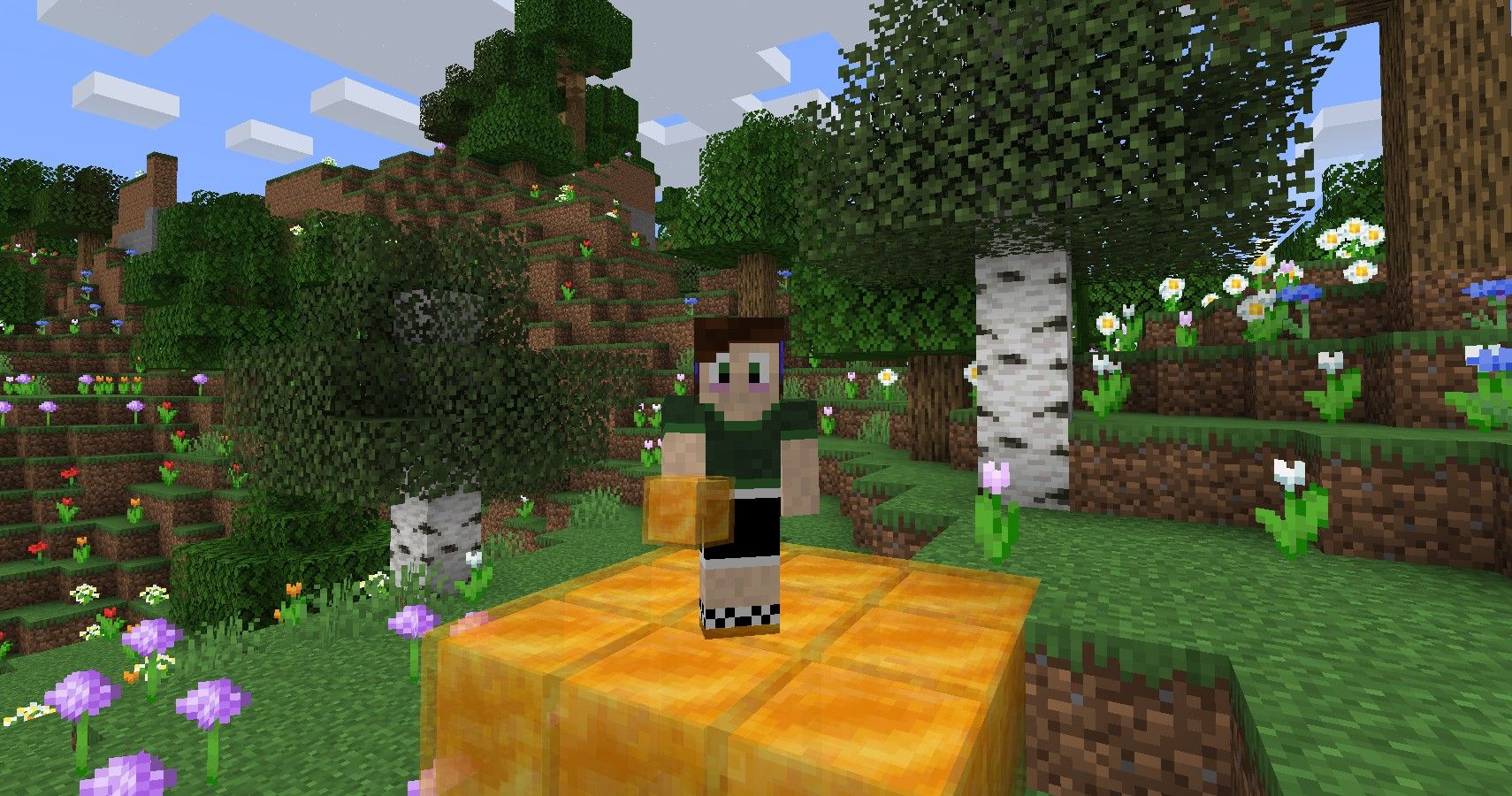 player standing on Minecraft Honeyblocks