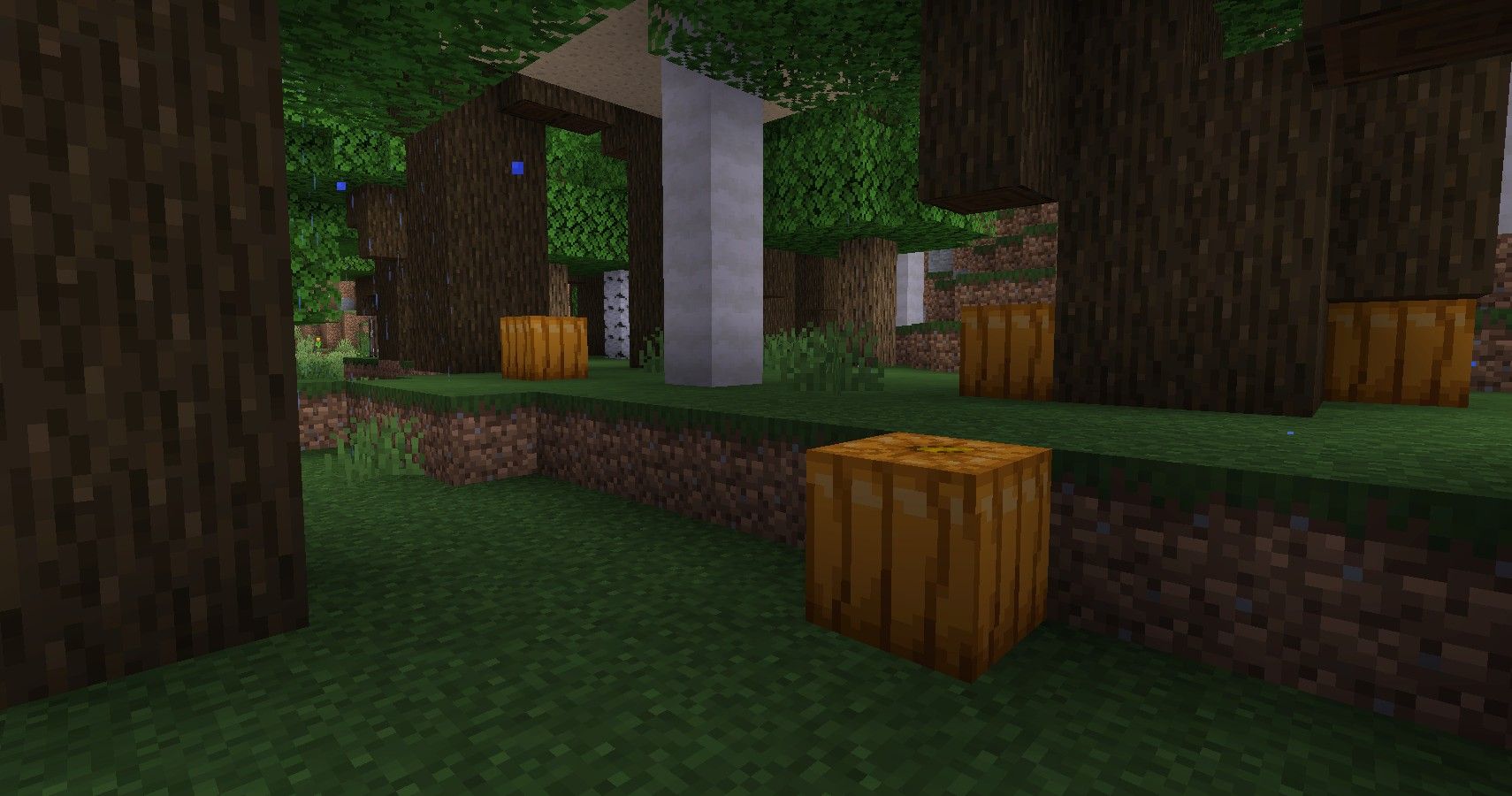 location of pumpkins growing in Minecraft Darkwood Forest