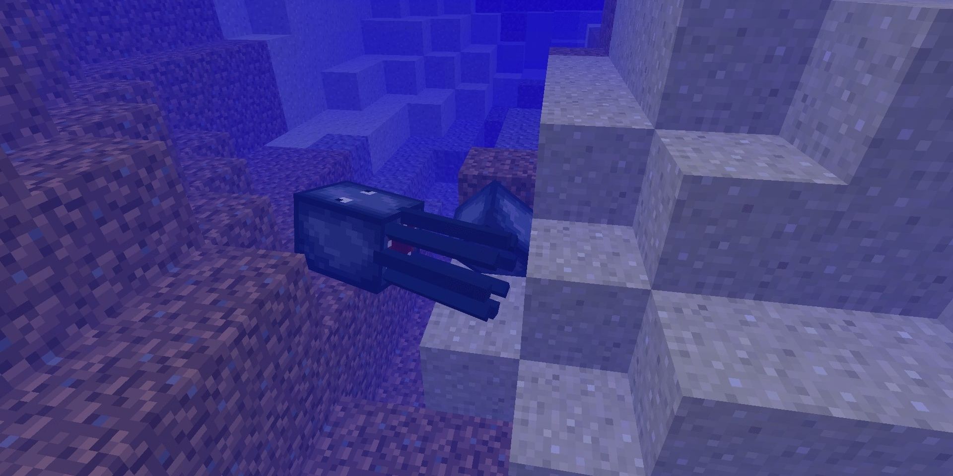 Squids swimming in the river in Minecraft