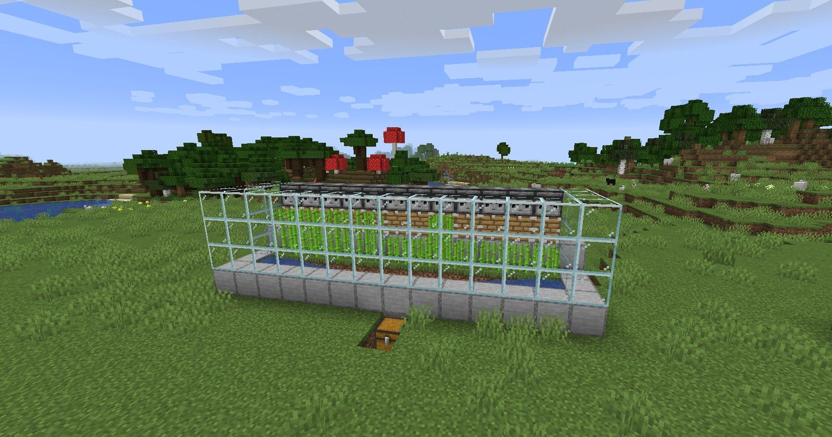 Expanded Minecraft Auto-Sugarcane farm, double the length of guide version