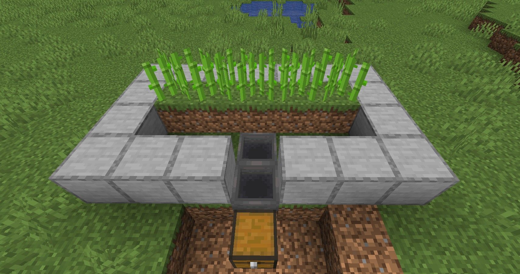 Example of Hopper Collection System for Minecraft sugarcane farm