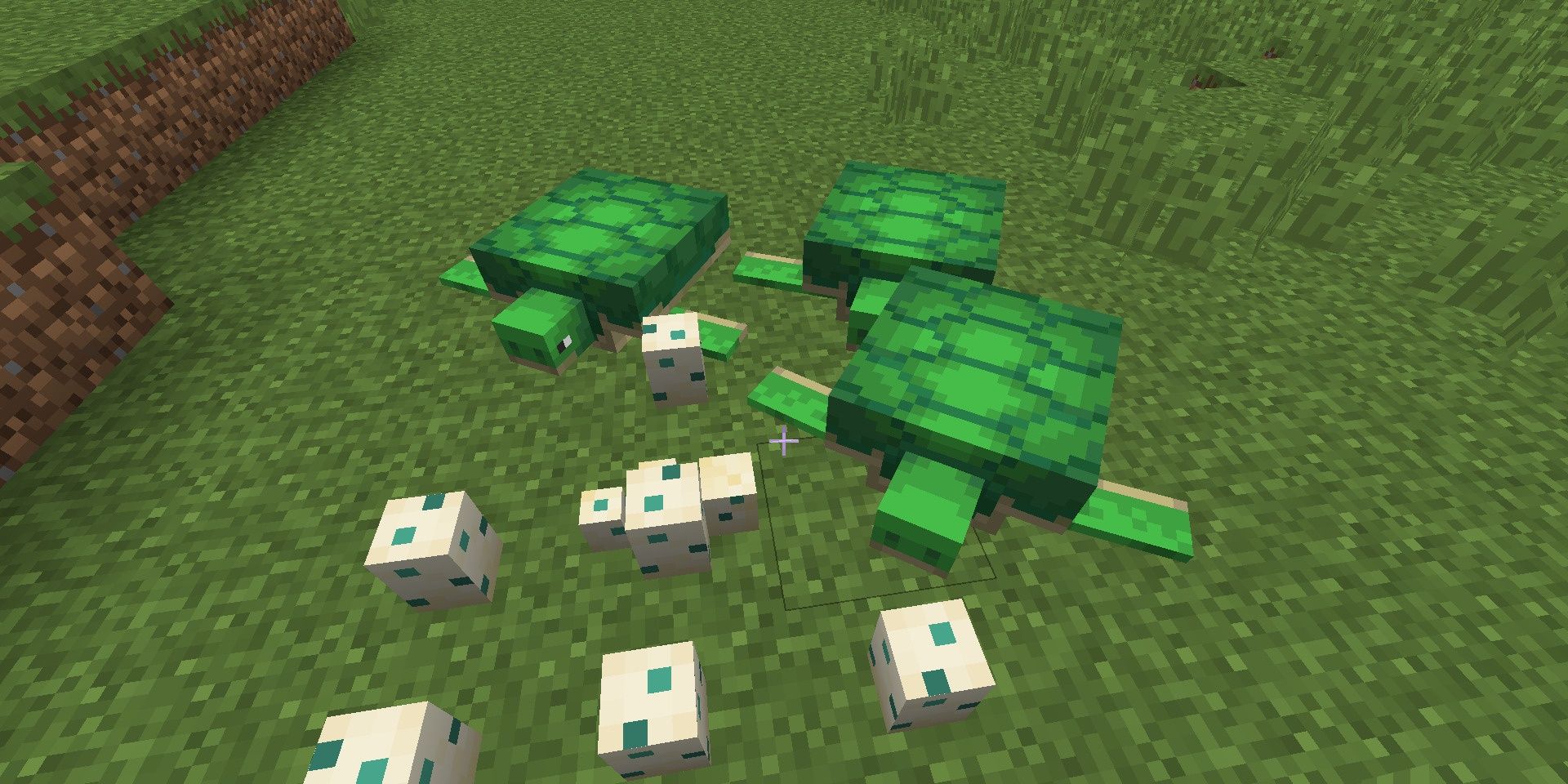 Turtles and their eggs in Minecraft