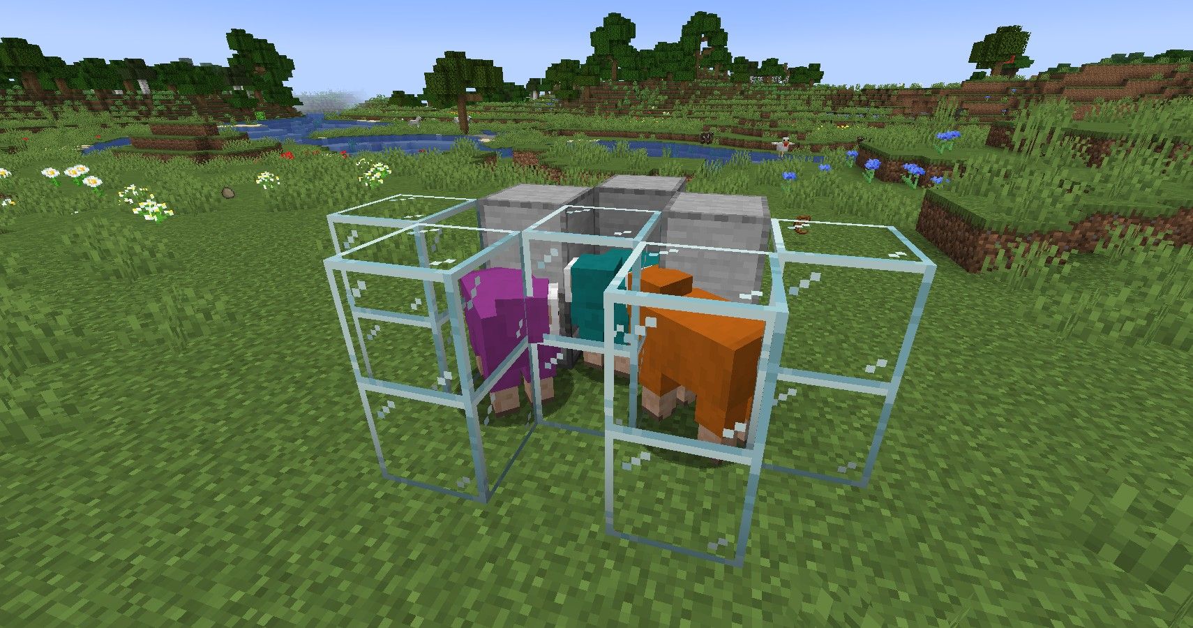 dyed sheep set in minecraft wool farm
