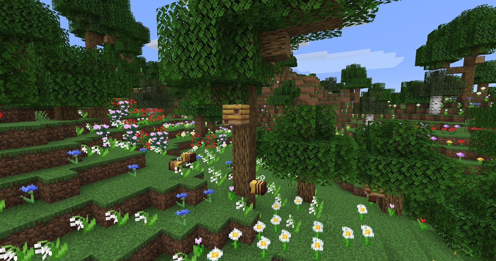 Bees around a bees nest in a forest full of flowers 