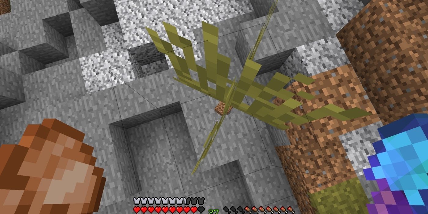 Minecraft screenshot looking down on invisible dirt block where grass is still growing