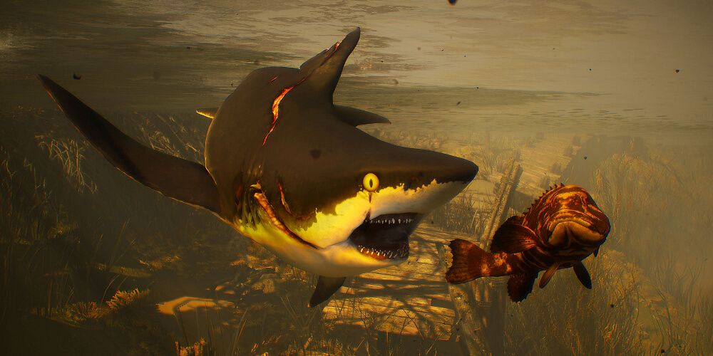 Maneater Shark Tries To Eat A Fish