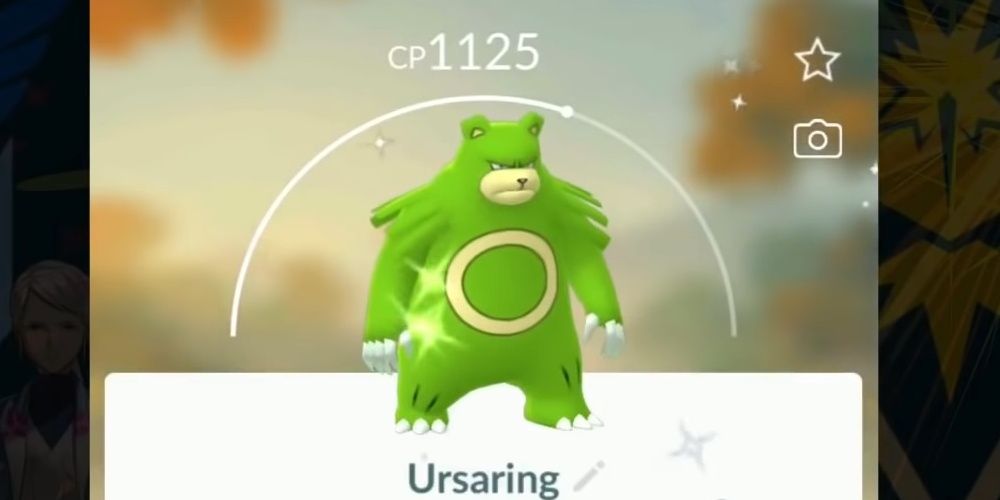 Shiny Ursaring dans Pokemon GO après avoir évolué