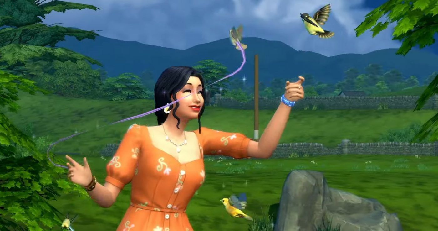 Sim making friends with birds