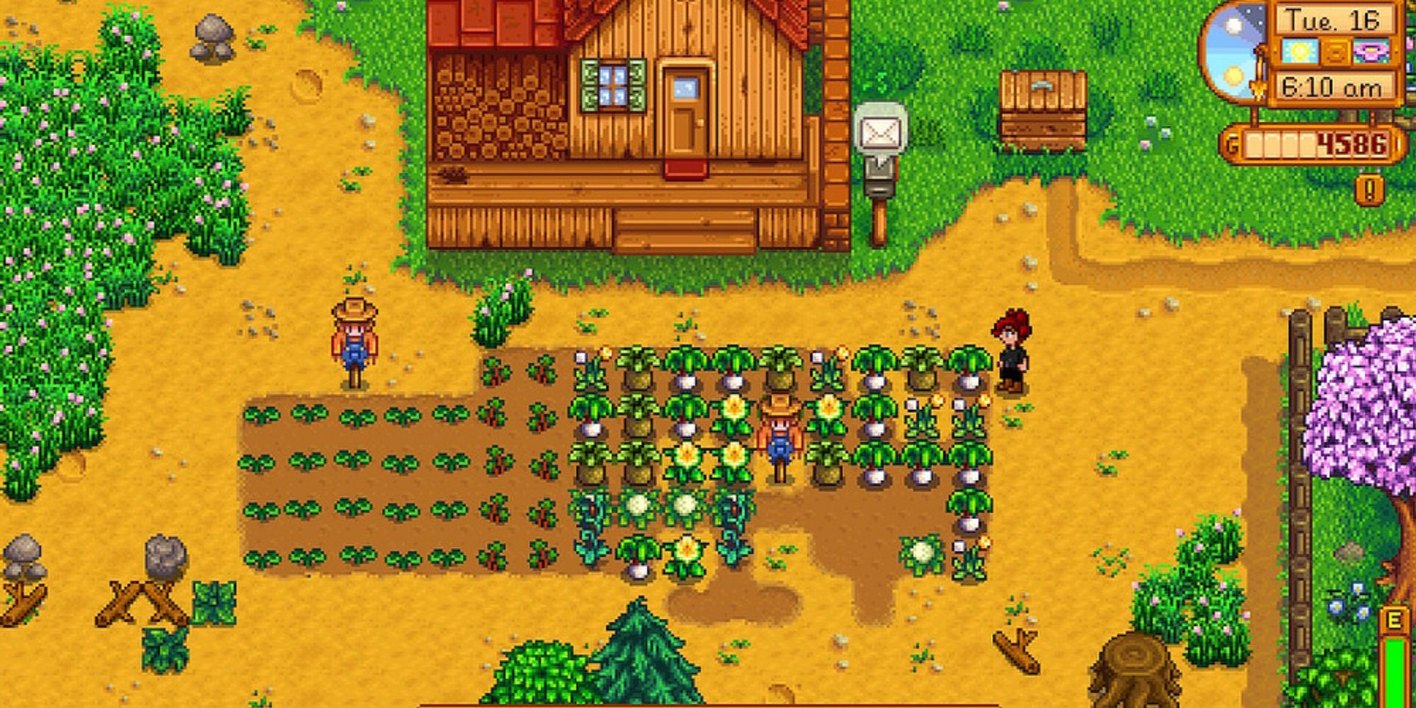 Stardew Valley First Year Farm