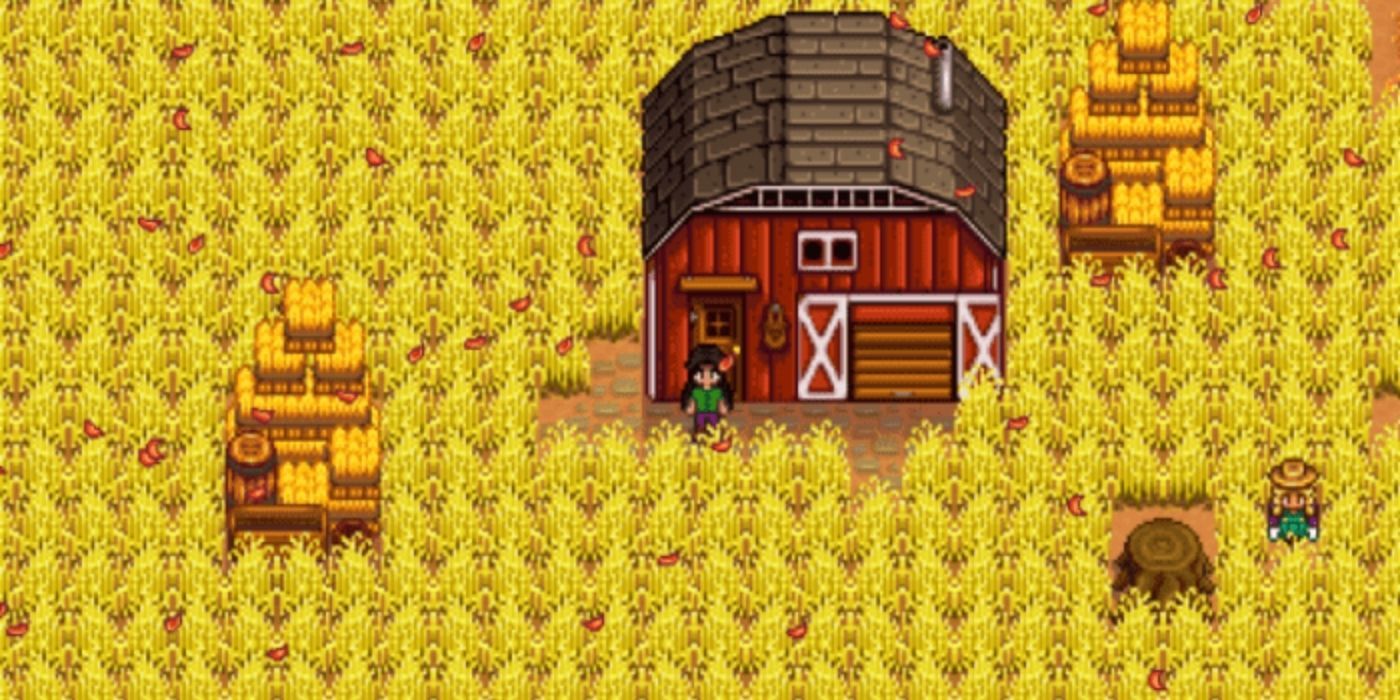 Stardew Valley Fodder Bundle - Player standing in the middle of a huge field of wheat, next to a barn
