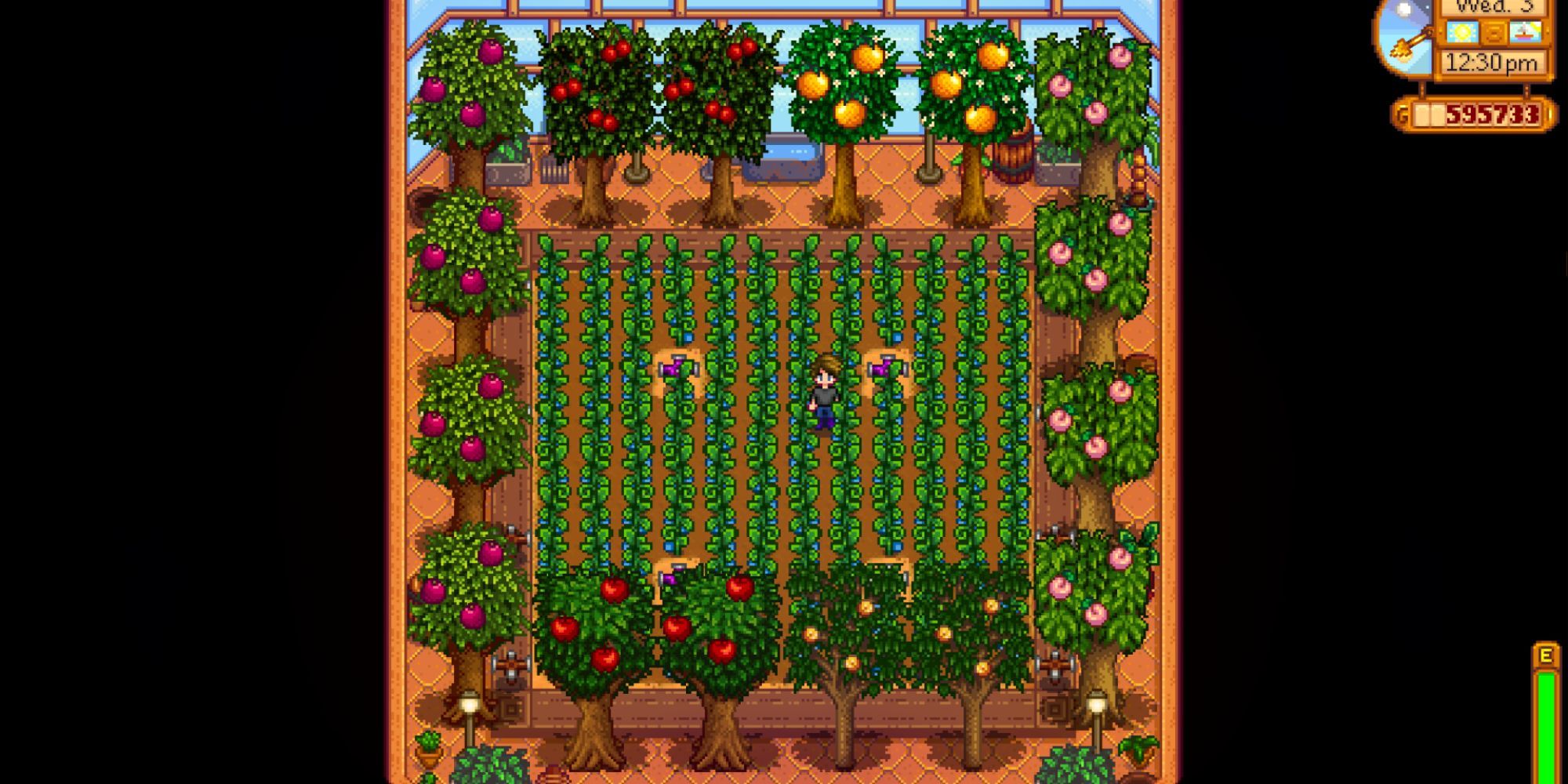 Stardew Valley Fruit Trees Inside Greenhouse