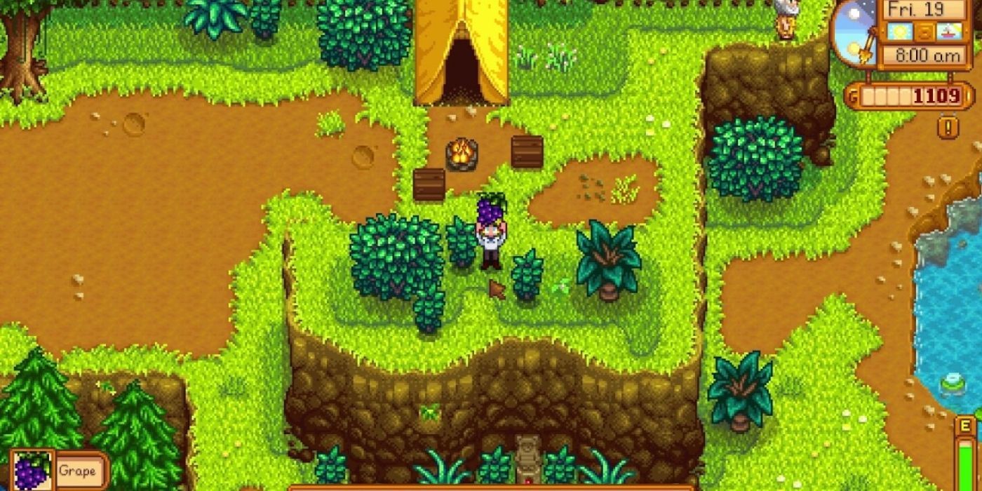Stardew Valley Summer Foraging - Player foraging a grape in the mountains