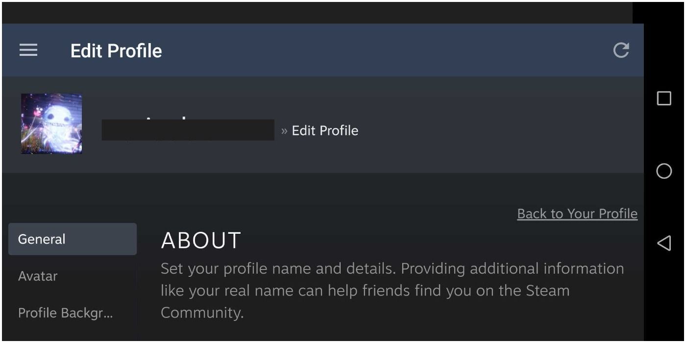 Steam Mobile App Edit Profile Screen ABOUT