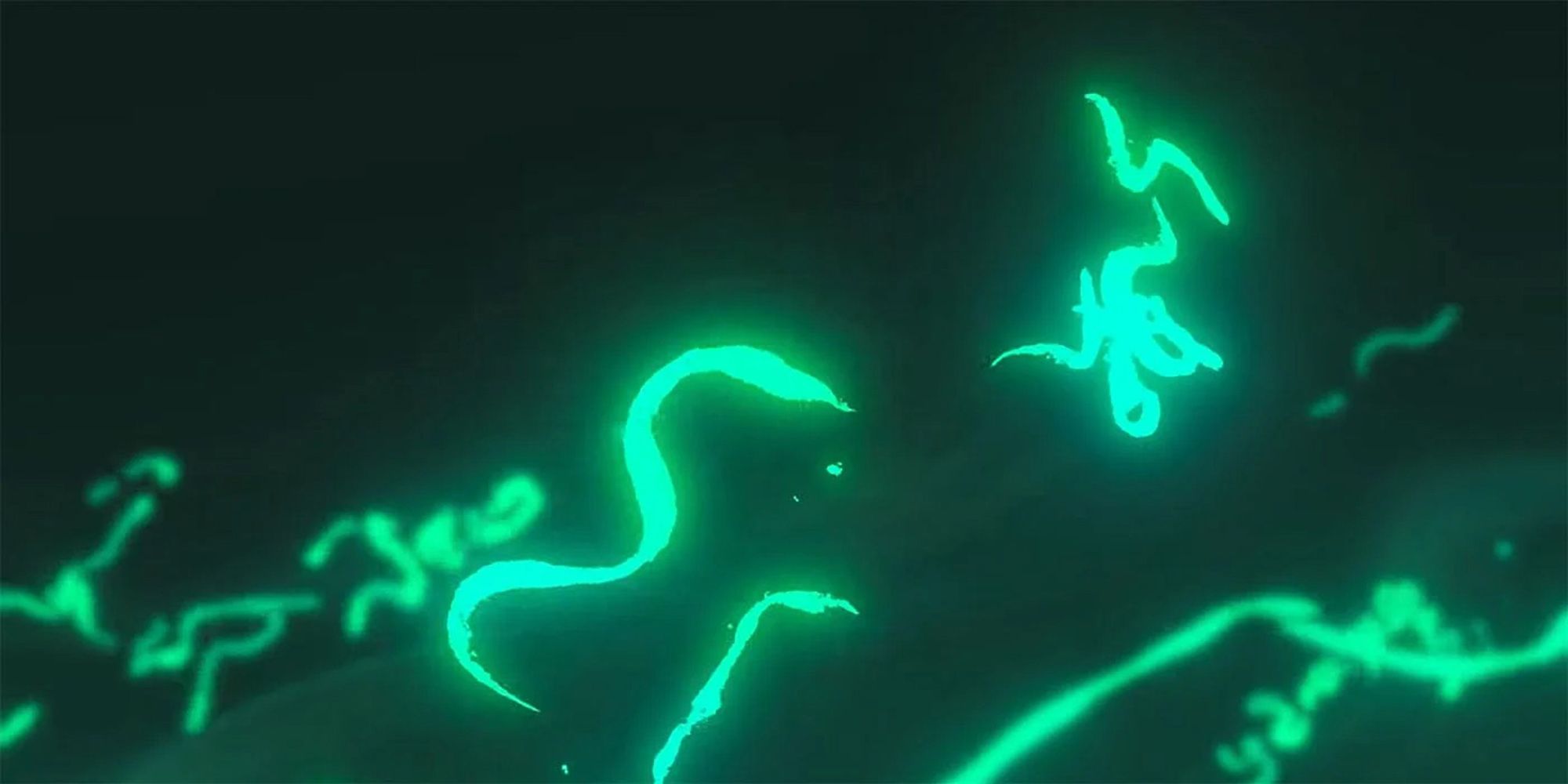 The Legend Of Zelda Breath Of The Wild 2 2019 Reveal Trailer - The Particles Of The Magic In The Air