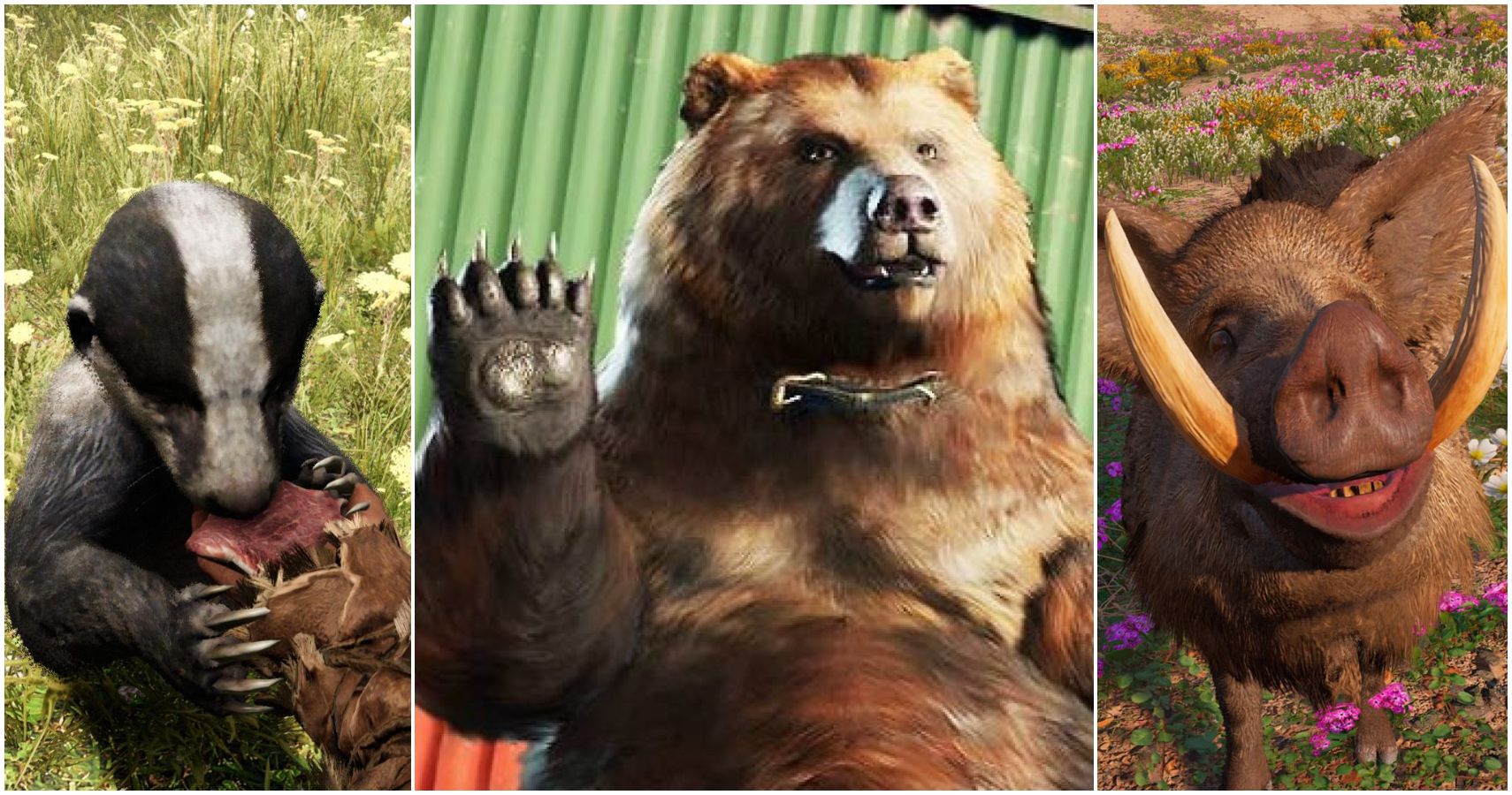 The Best Animal Companions in Far Cry 6