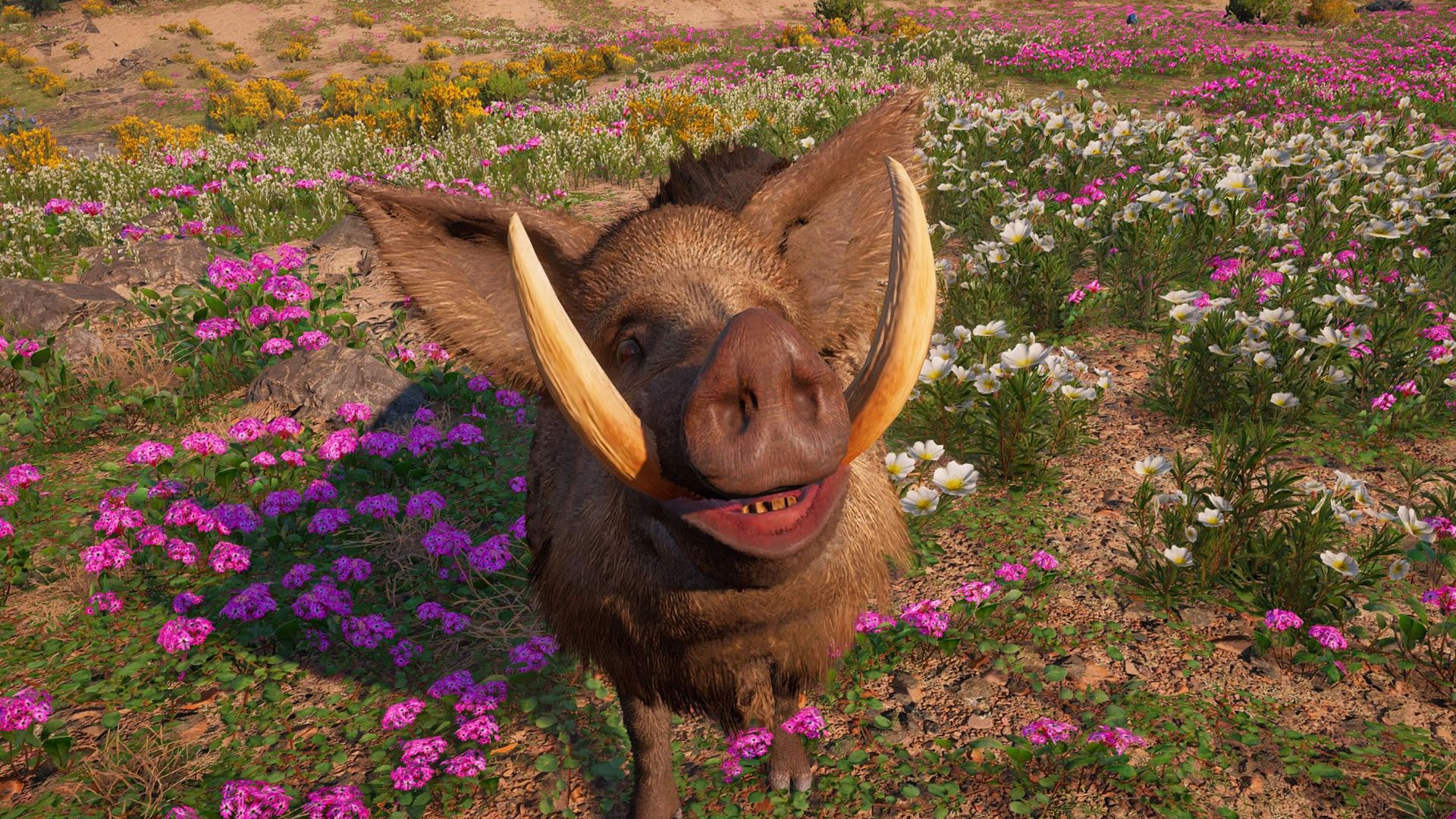 horatio smiling from far cry new dawn