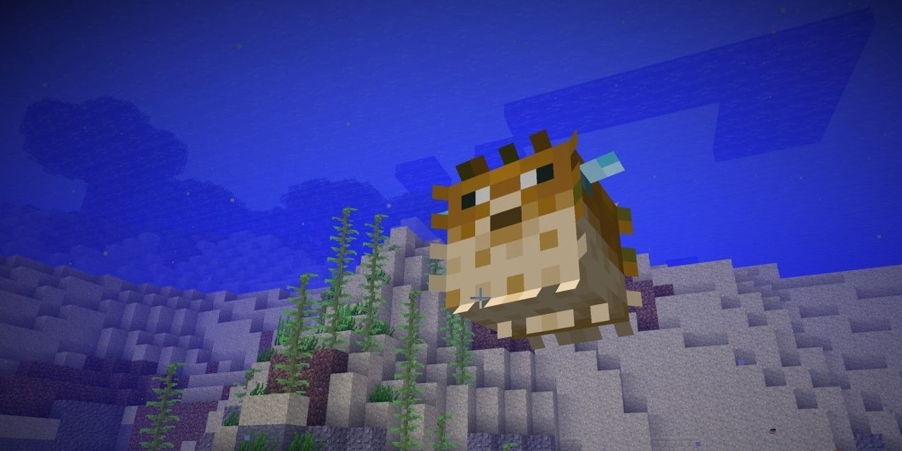 A puffed out Pufferfish in Minecraft