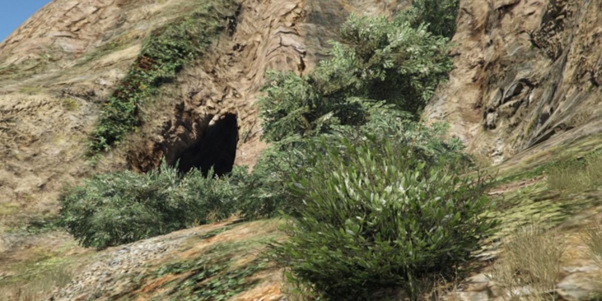 Tongva Hills cave in gta online treasure hunt