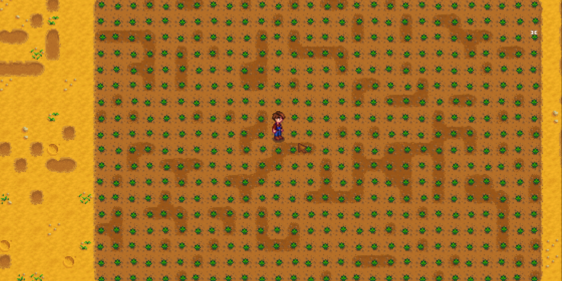 a field of crops that have retaining soil fertilizer in stardew valley