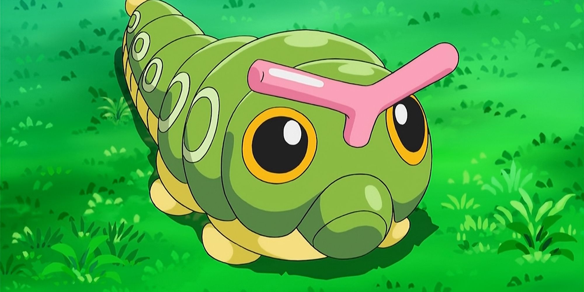 Caterpie from Pokemon anime standing on the grass.