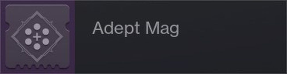 Destiny 2 Adept Mag