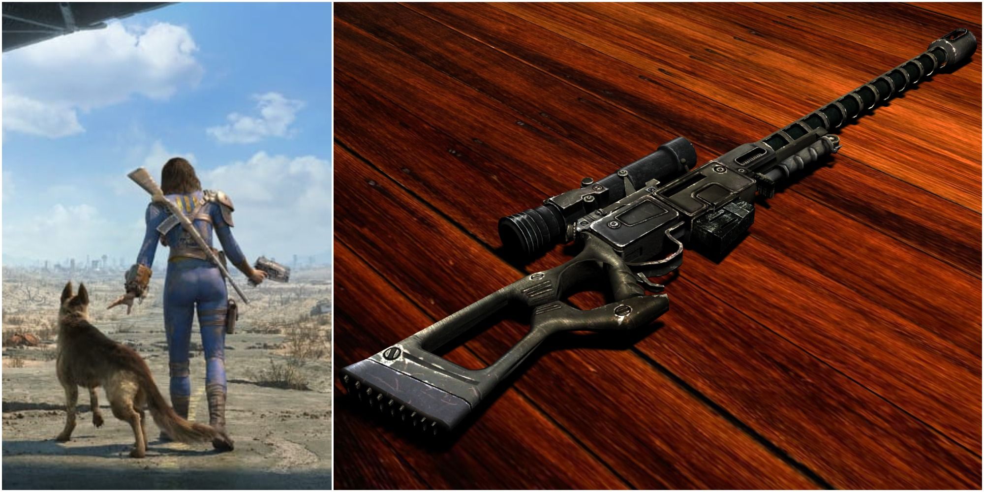 Split Image of lone wanderer with dogmeat and a sniper rifle