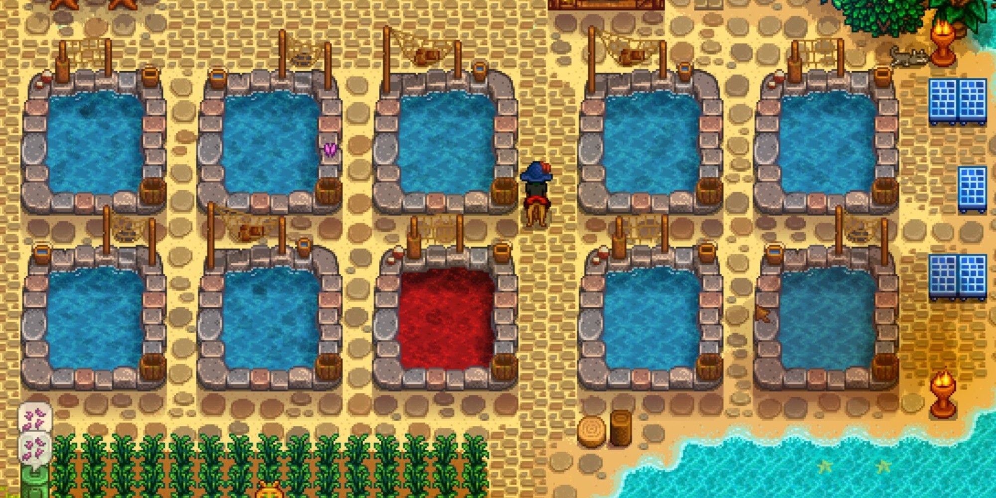 A player has 10 fishing ponds in Stardew Valley