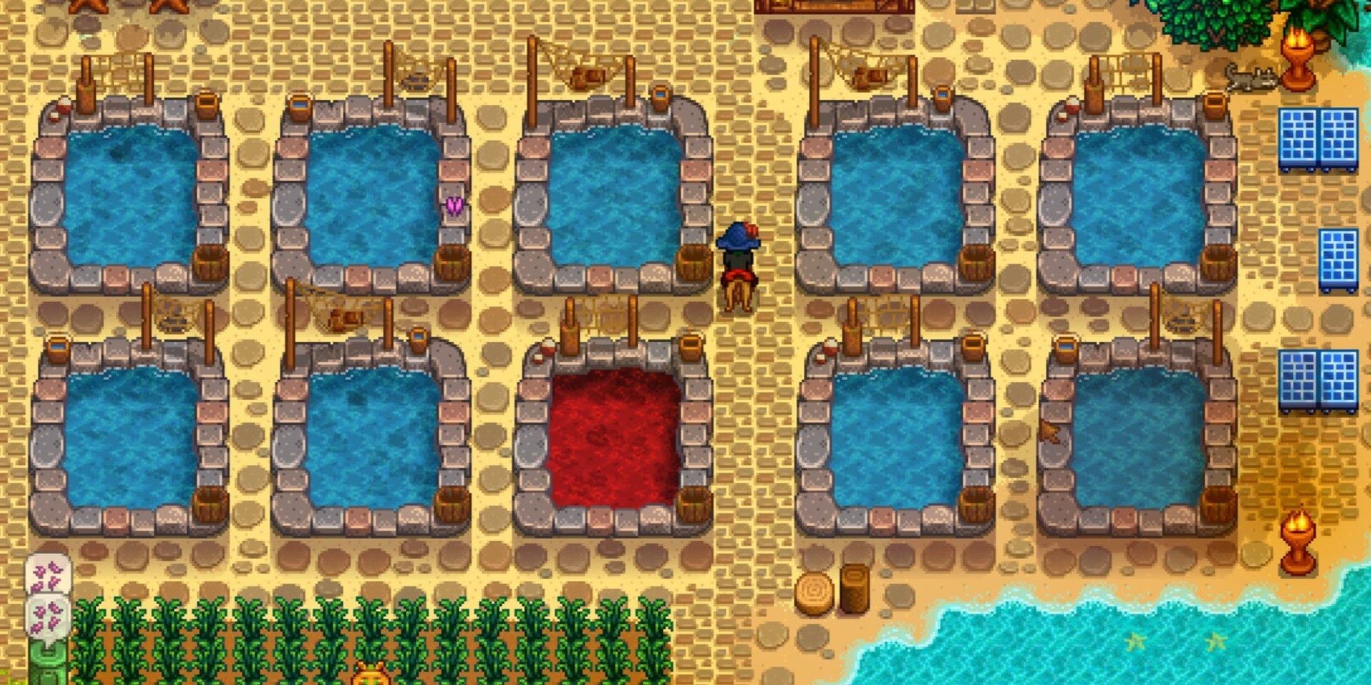 stardew valley rainbow trout