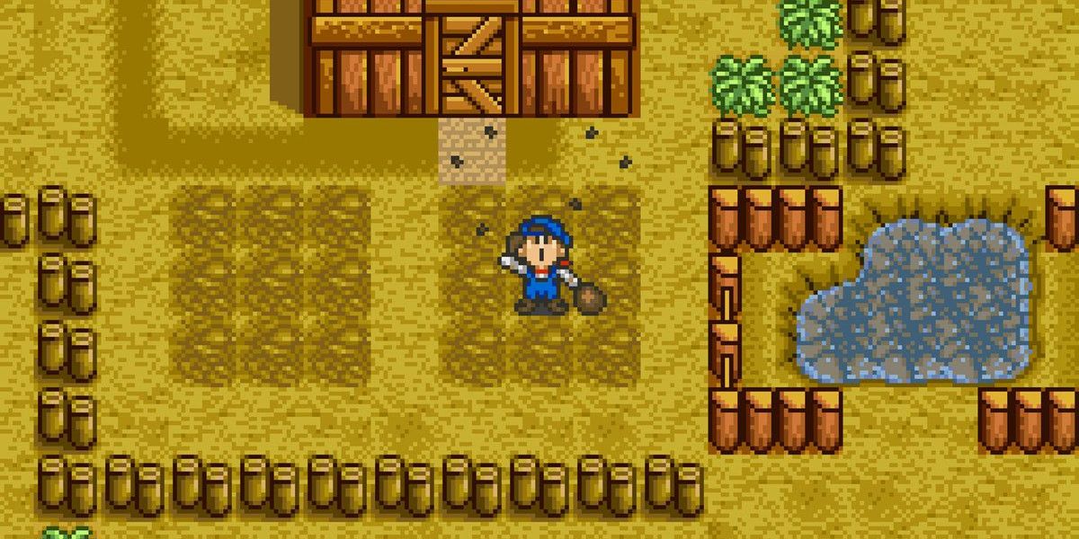 The player character stands on dirt in Harvest Moon