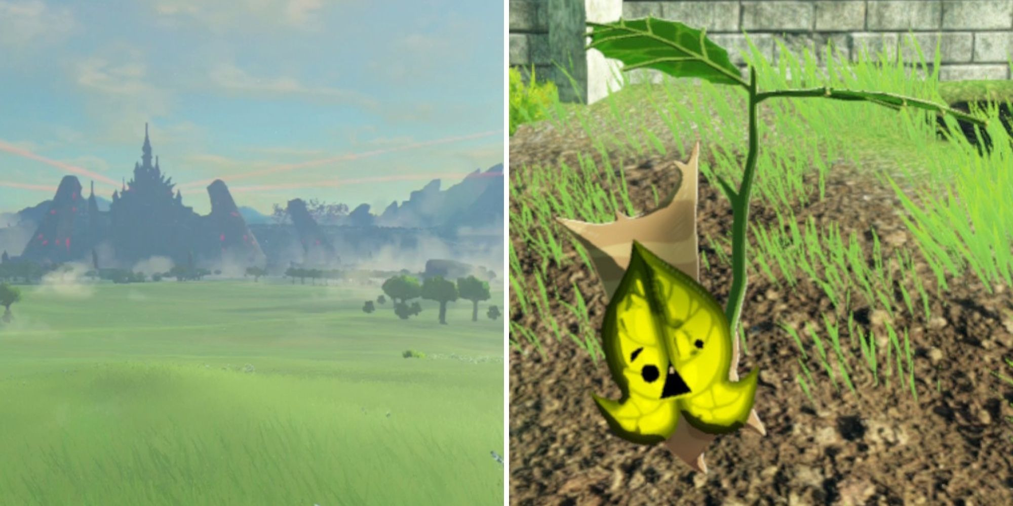 Hyrule Warriors Age of Calamity - Hyrule Castle and Hyrule Field on Right, Korok on right