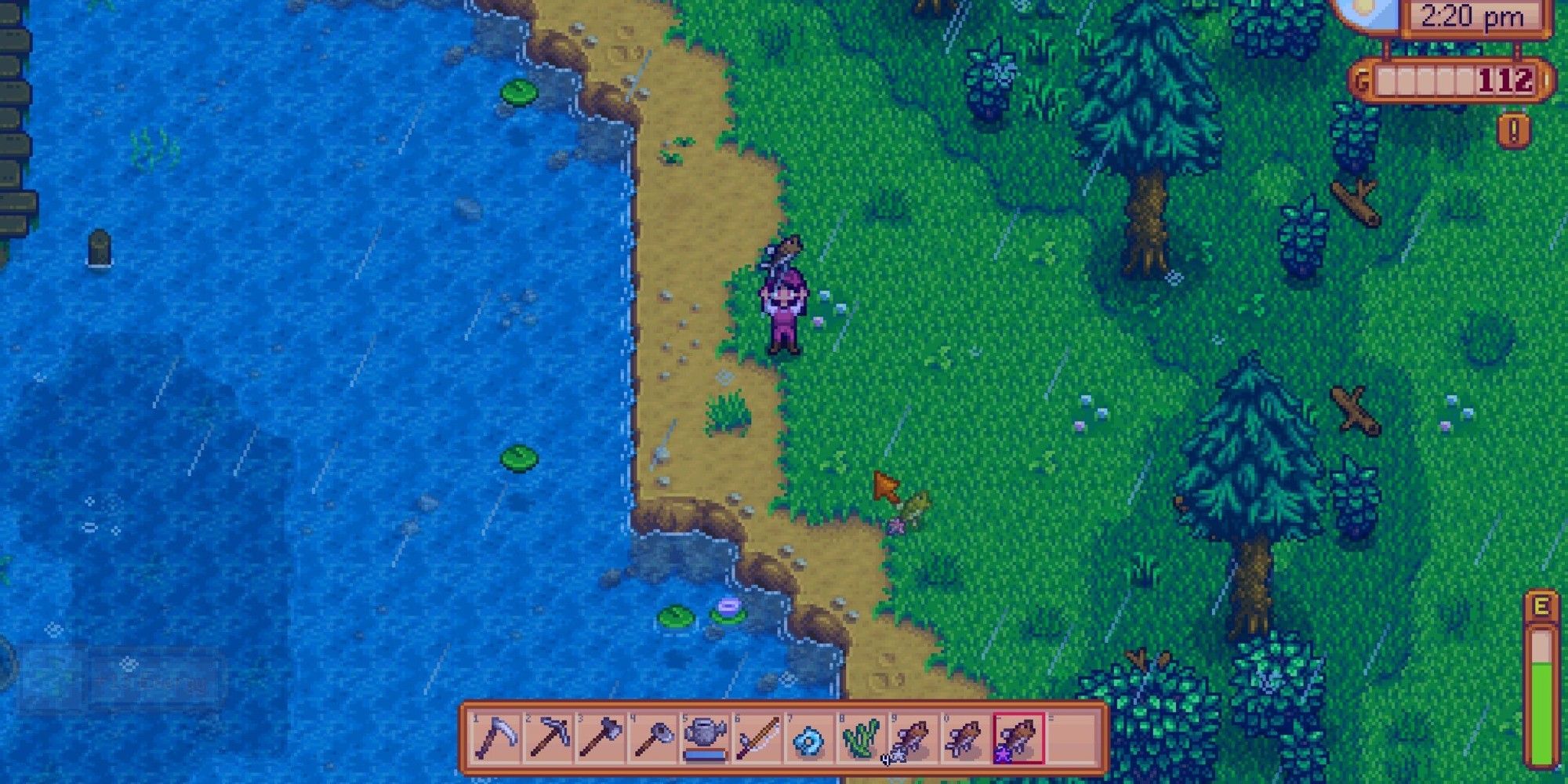 player holding an iridium quality fish in stardew valley