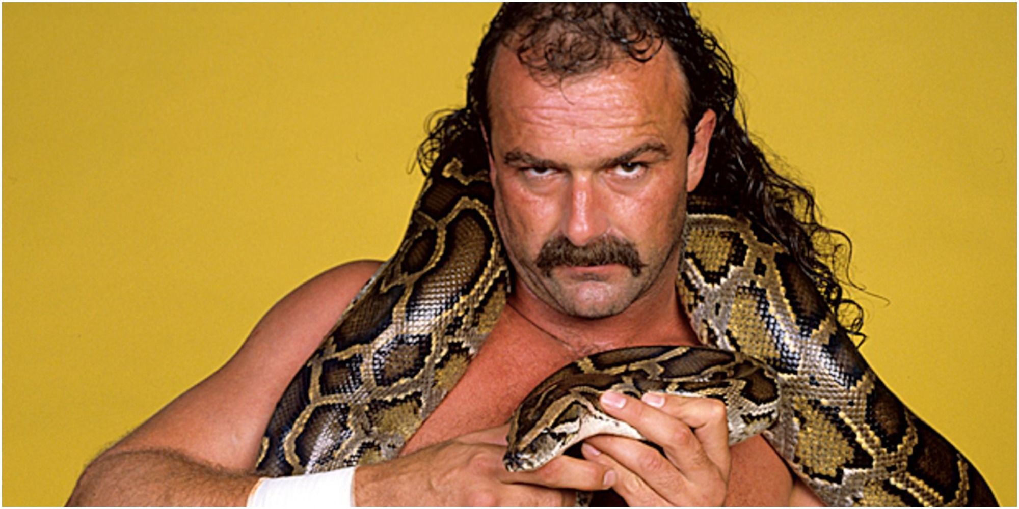 WWE star Jake the snake Roberts